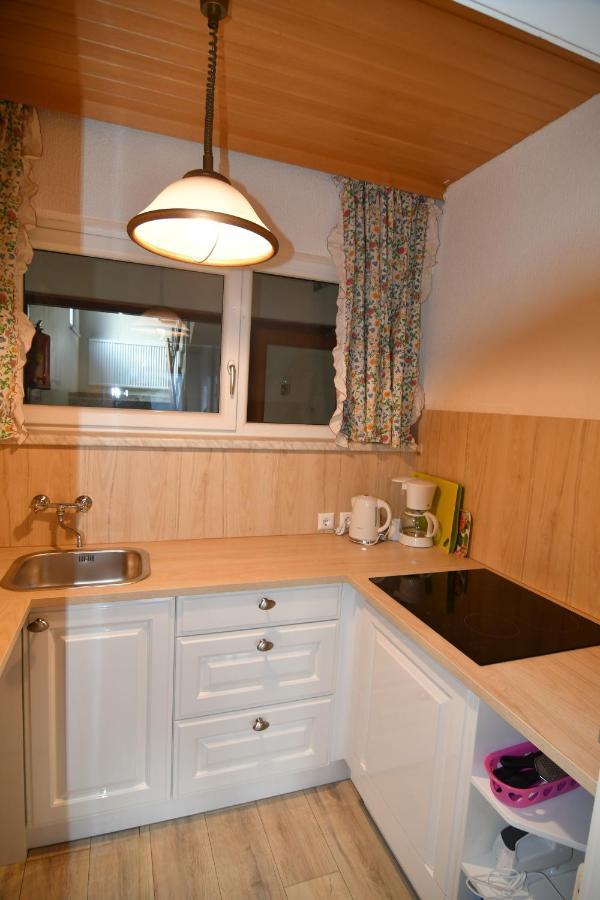 Mountain View Apartment Bad Mitterndorf Eksteriør bilde